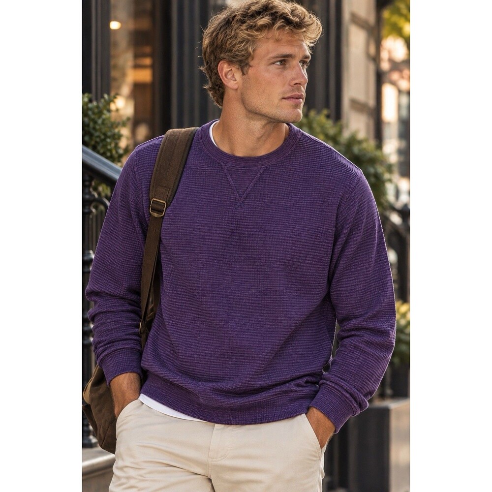 J Crew Striped Sweater L Purple Jacquard Rib Knit Crewneck Casual Fall CN577